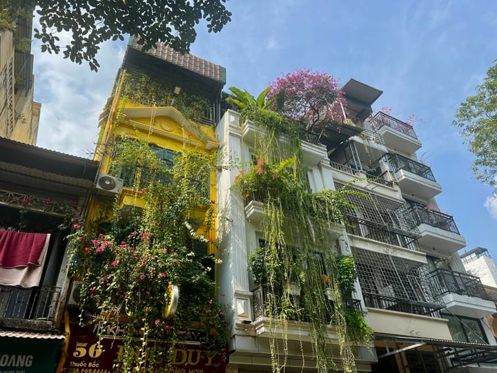 Hanoi Old city, buildings with greenery and flowers